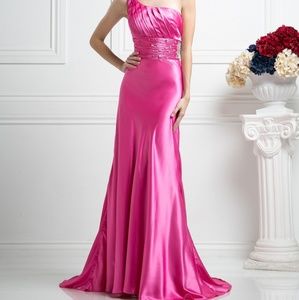 Plum long Cinderella Divine dress